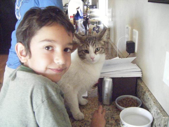 my son and cat