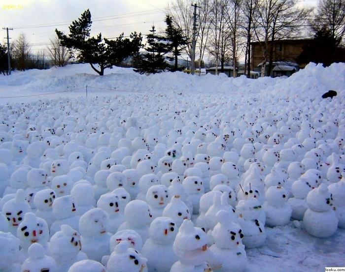 global warming protest  LOL!