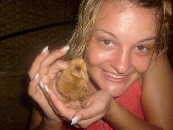 Baby chick in Goa Awww!!!
