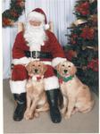 Bella & Rumour(brothers dog). with Santa