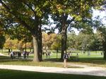 This is just a nice picture of the only green space we have (the Oval)!