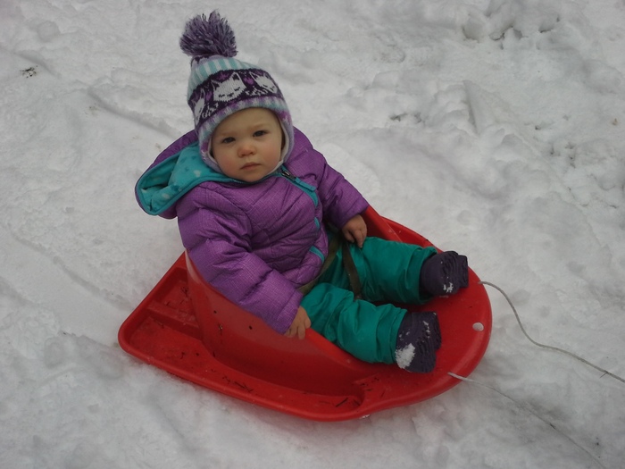 Amber On a Sled