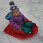 Amber On a Sled