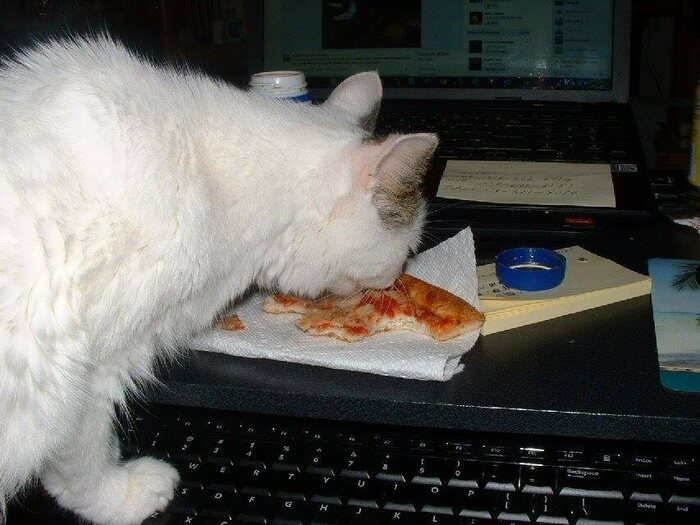 7 Years Ago Today - Miss Teia discovers pizza.