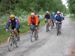 Group in Estonia Cycling