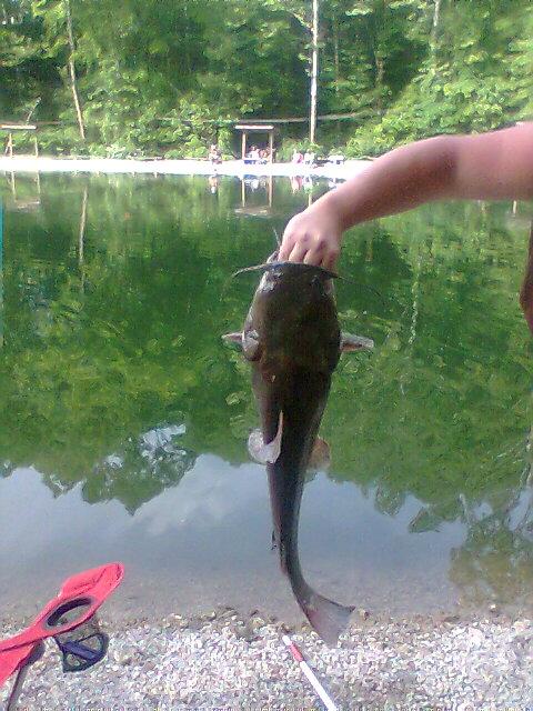 Good day fish'n