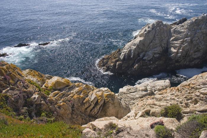 Point Lobos, near Carmel CA