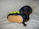 Wiener dog!