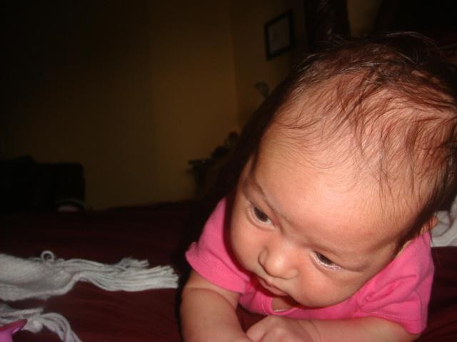 IJ trying to lift her head up. 6wks old