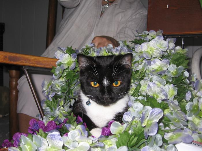 Chub was our florist for the wedding.  :-)