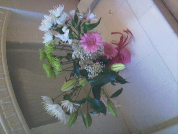 my flowers dan got me to cheer me up :)