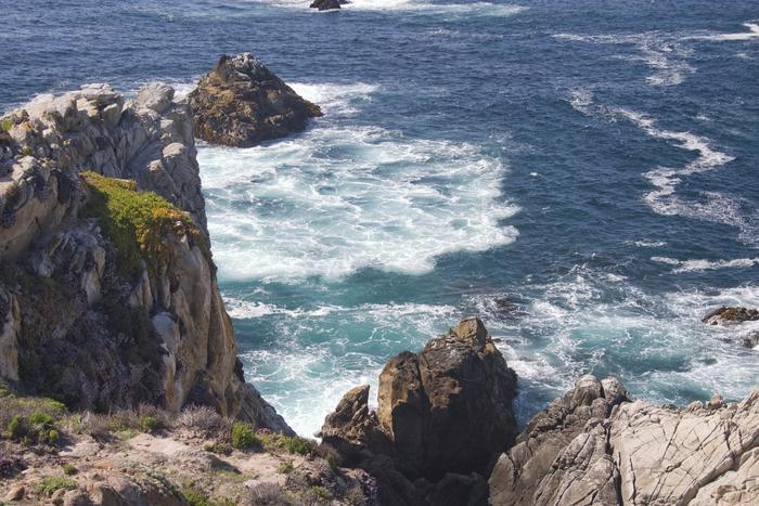 Point Lobos, near Carmel, CA
