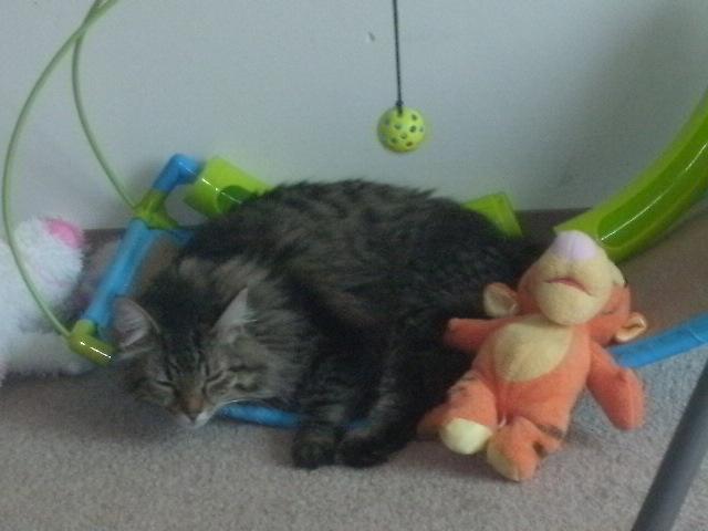 venus and tigger (apparently he's her new b/f)