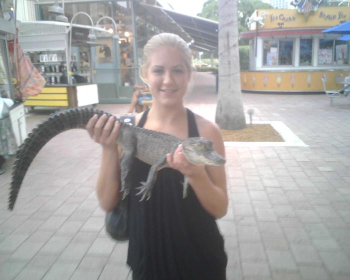 I love alligators!