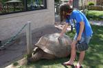 Miranda Petting a Turtle