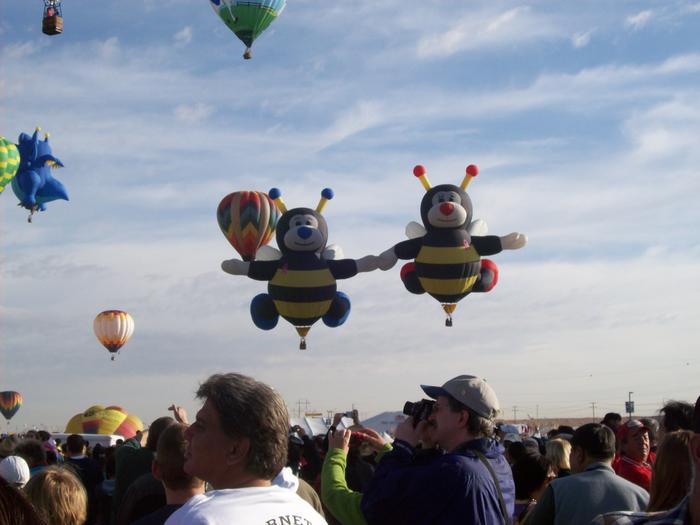 The Bees Balloon Fiesta - New Mexico 2008